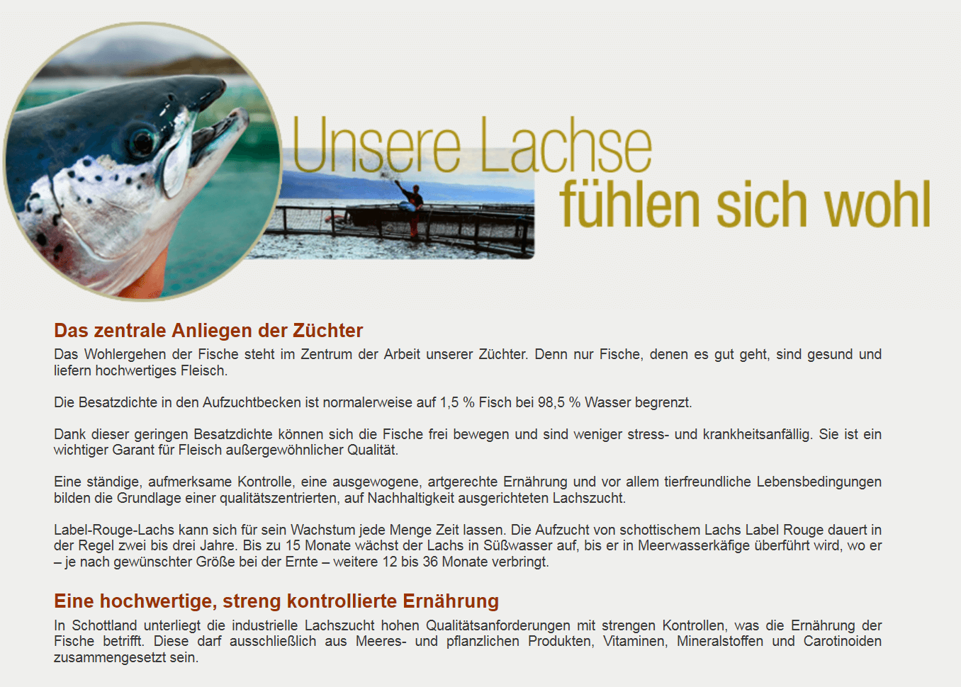 Frischer Lachs aus Schottland - Label Rouge - Irlandlachs