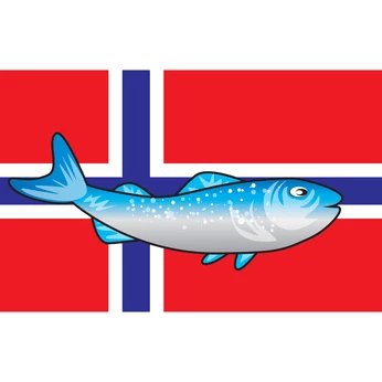 Unser Lachs aus Norwegen